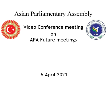  Virtual Meeting of the APA President and Vice-Presidents on APA Future Activities 